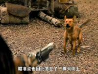 杏彩体育app-铁血守卫：喀麦隆队临危不惧