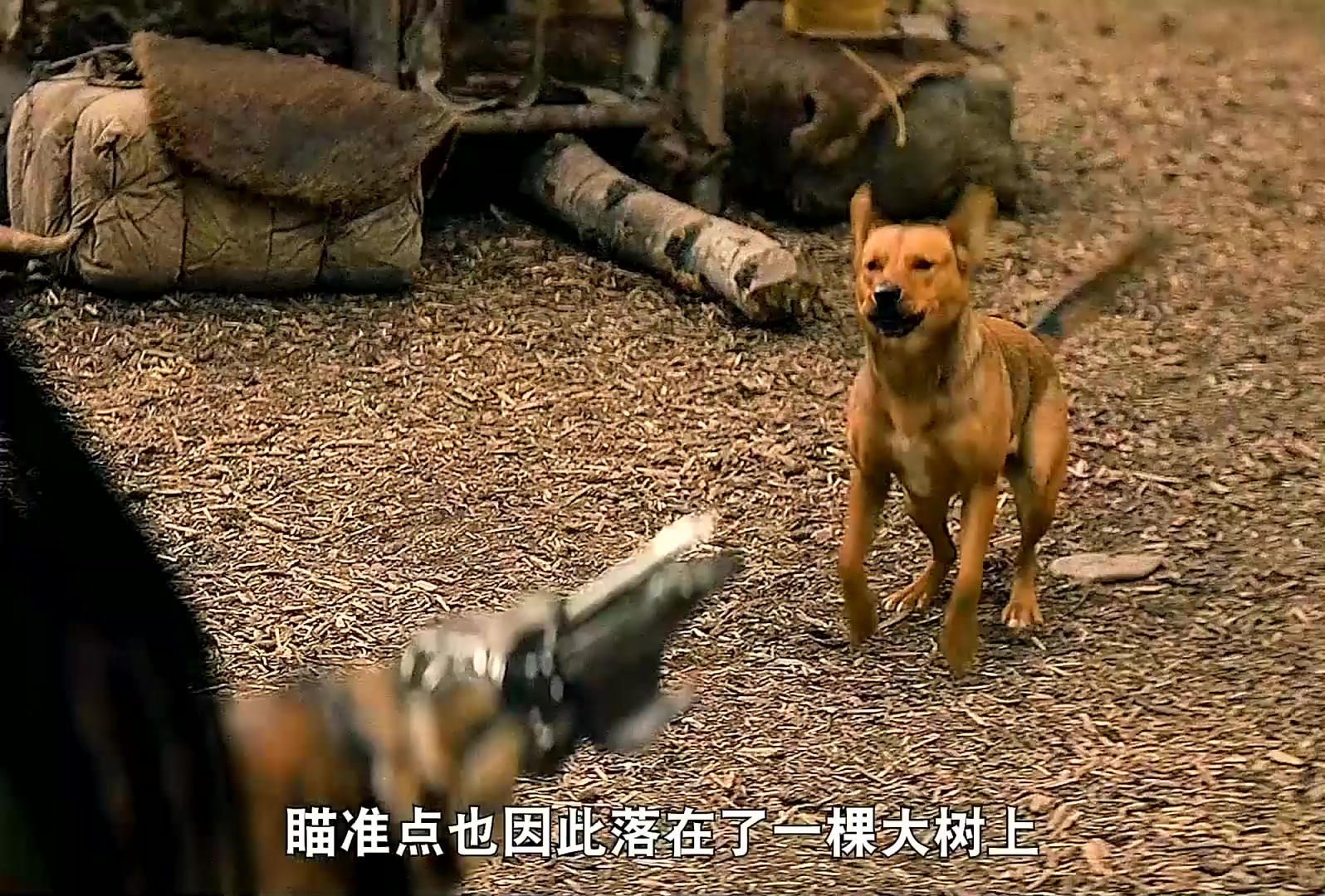 铁血守卫：喀麦隆队临危不惧